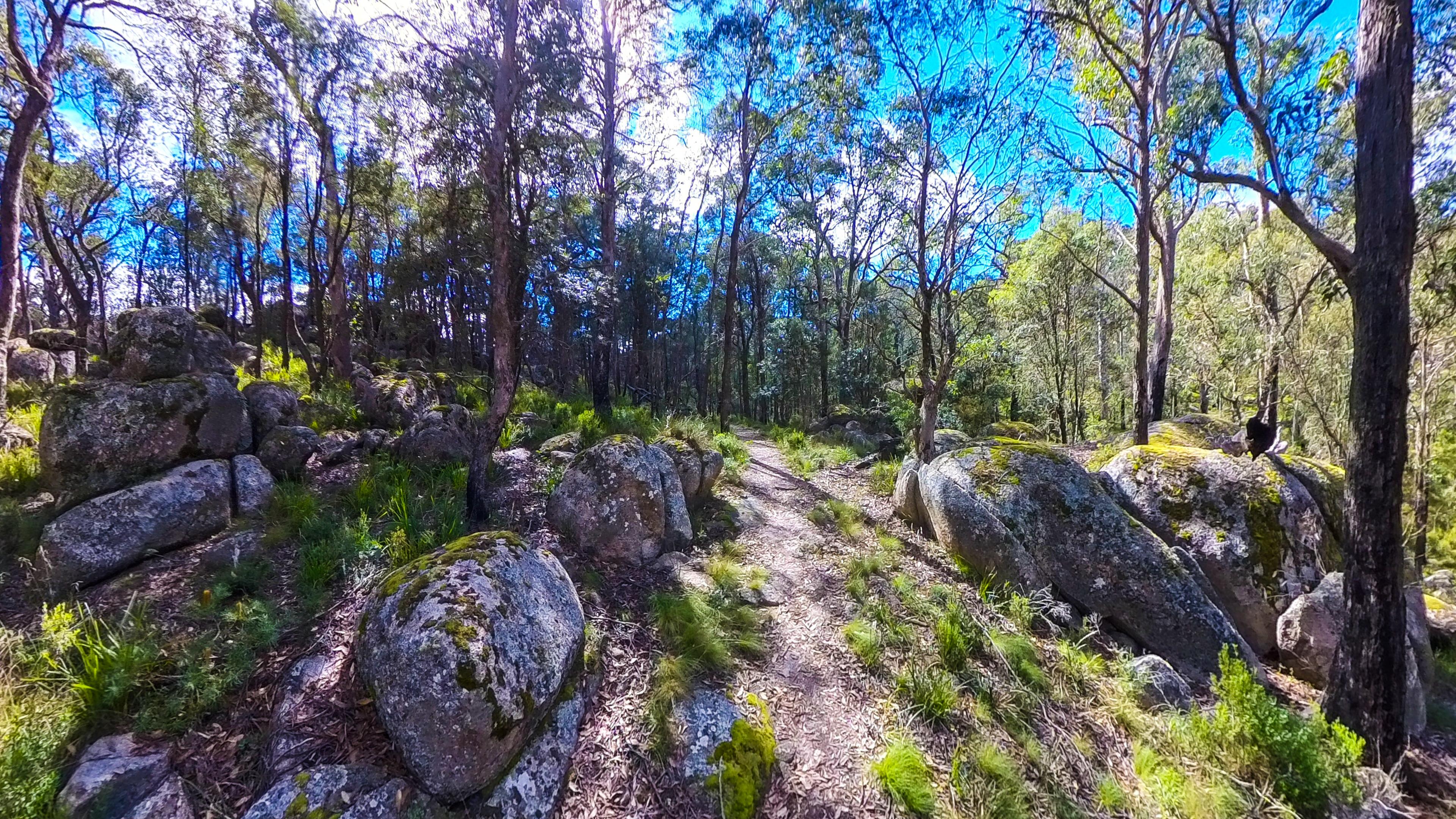 Catheral Rock Walking Track
